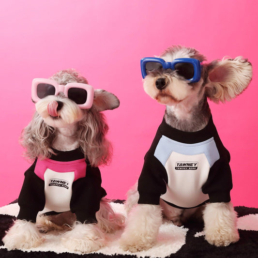 [BELNAN] Trendsetting Pup Varsity Jacket - BELNAN